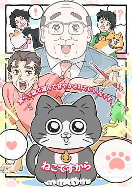 转生成猫的大叔海报图片