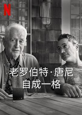 罗伯特唐尼:自成一格