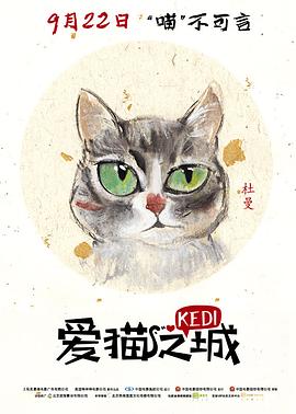 爱猫之城英海报图片