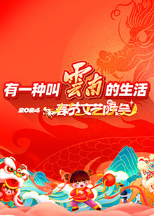 年云南省春节文艺晚会