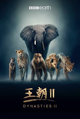 王朝第二季海报图片