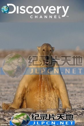 动物绝技大公开海报图片