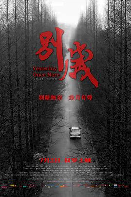 别岁海报图片