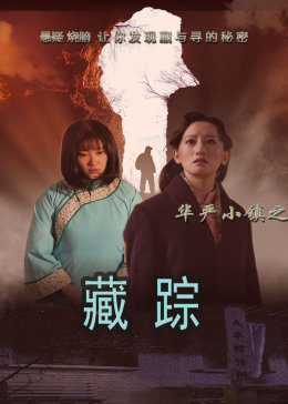 华严小镇2之藏踪海报图片