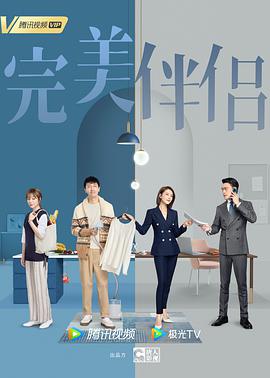 完美伴侣海报图片