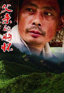 父亲的胸怀海报图片