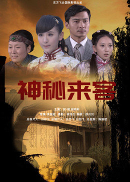 神秘来客2014海报图片