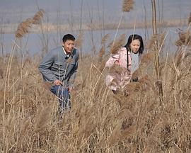 天鹅城之恋海报图片