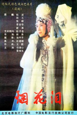 烟花泪海报图片