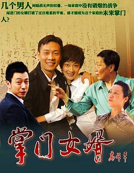 掌门女婿海报图片
