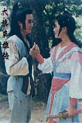 大旗英雄传台湾版海报图片