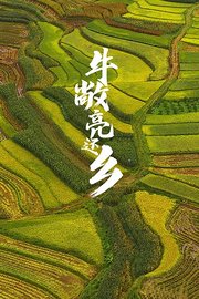牛敞亮还乡海报图片