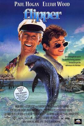 海豚的故事1996海报图片