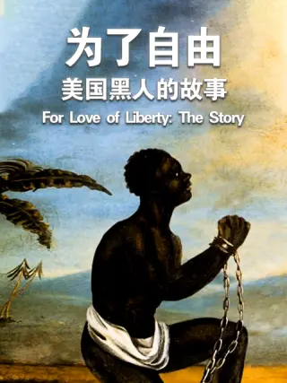 为了自由:美国黑人的故事