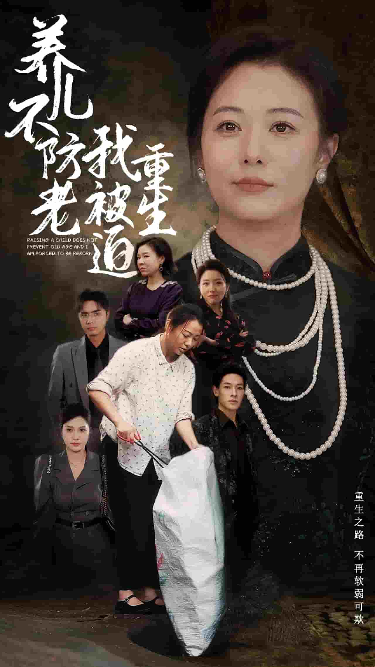 养儿不防老我被迫重生海报图片