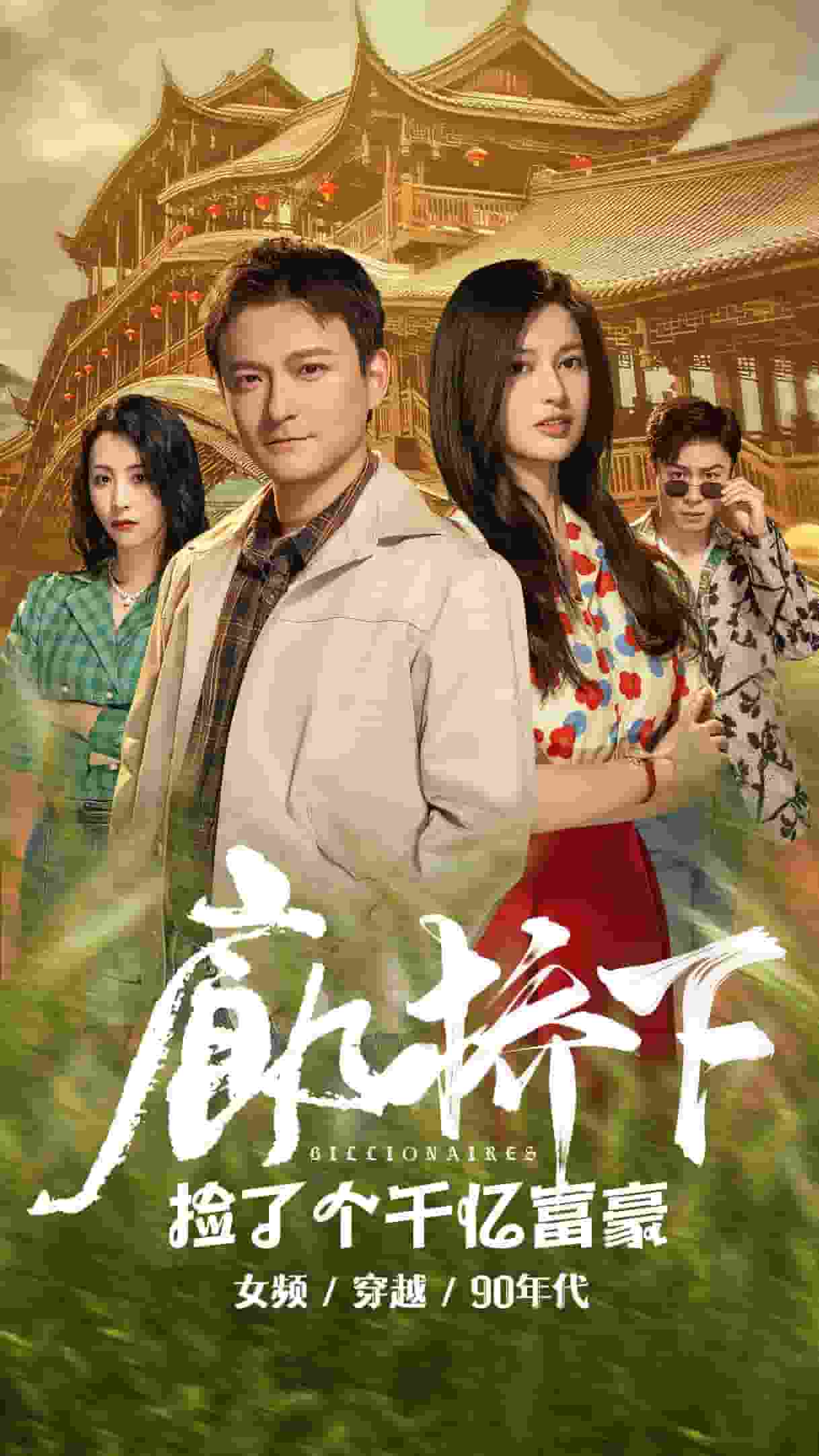 廊桥下捡了个千亿富豪海报图片