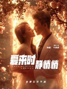 爱来时静悄悄海报图片
