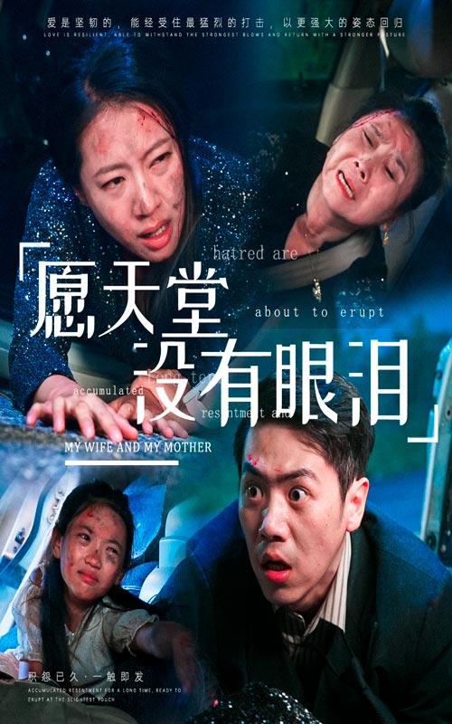 愿天堂没有眼泪海报图片