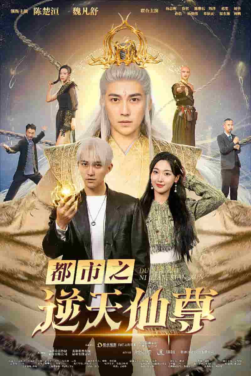 都市之逆天仙尊海报图片
