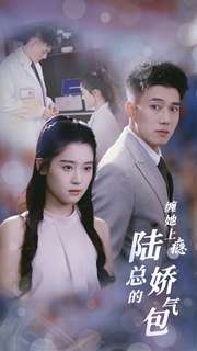 缠她上瘾陆总的娇气包海报图片