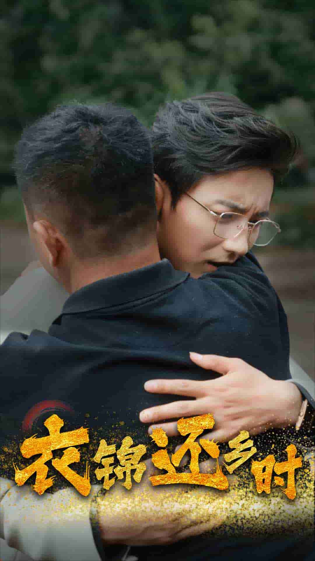 衣锦还乡时海报图片