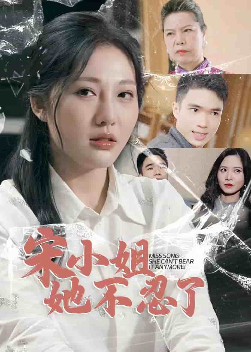 宋小姐她不忍了海报图片