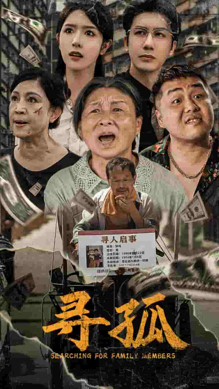 寻孤海报图片