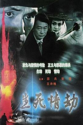 生死情劫海报图片
