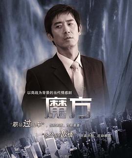 魔方2008海报图片
