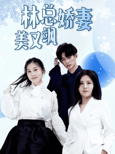 林总娇妻美又飒海报图片