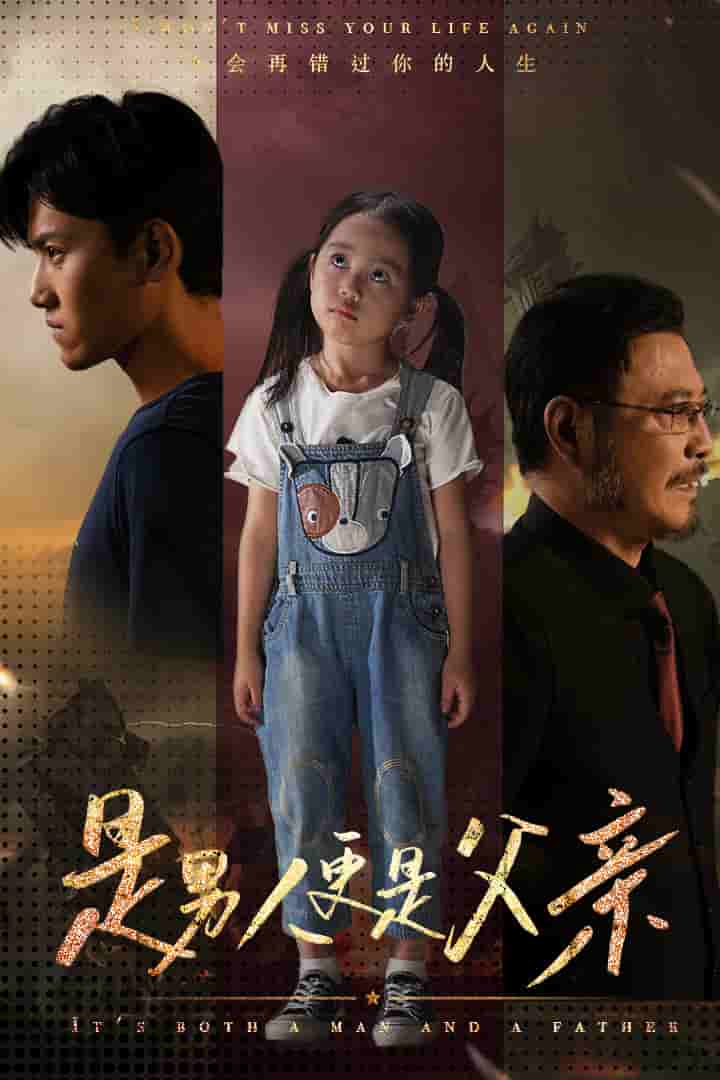 是男人更是父亲海报图片
