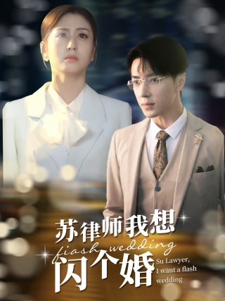 苏律师我想闪个婚海报图片