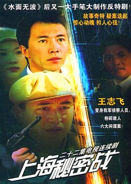上海秘密战海报图片