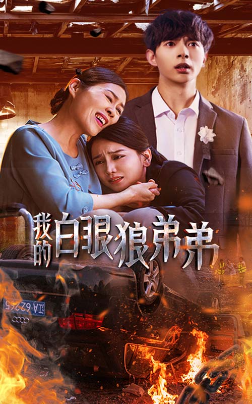 我的白眼狼弟弟海报图片