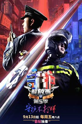 守护解放西第五季海报图片