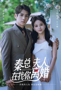秦总夫人在找你离婚海报图片