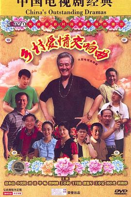 乡村爱情交响曲海报图片