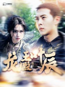 龙王殿叶辰海报图片