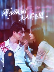 薄少别演了夫人看不见海报图片