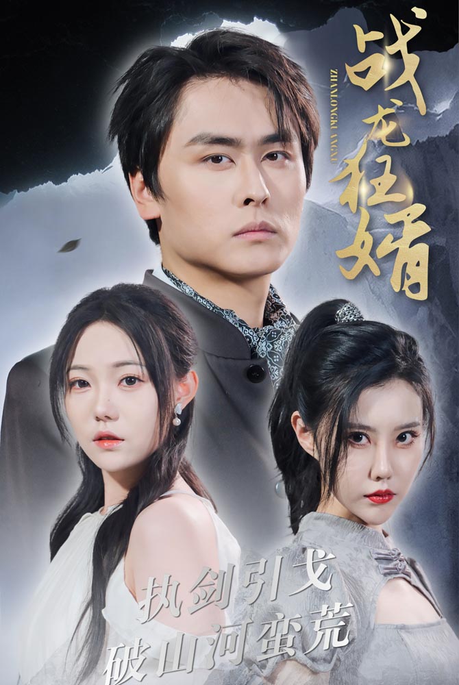 战龙狂婿海报图片