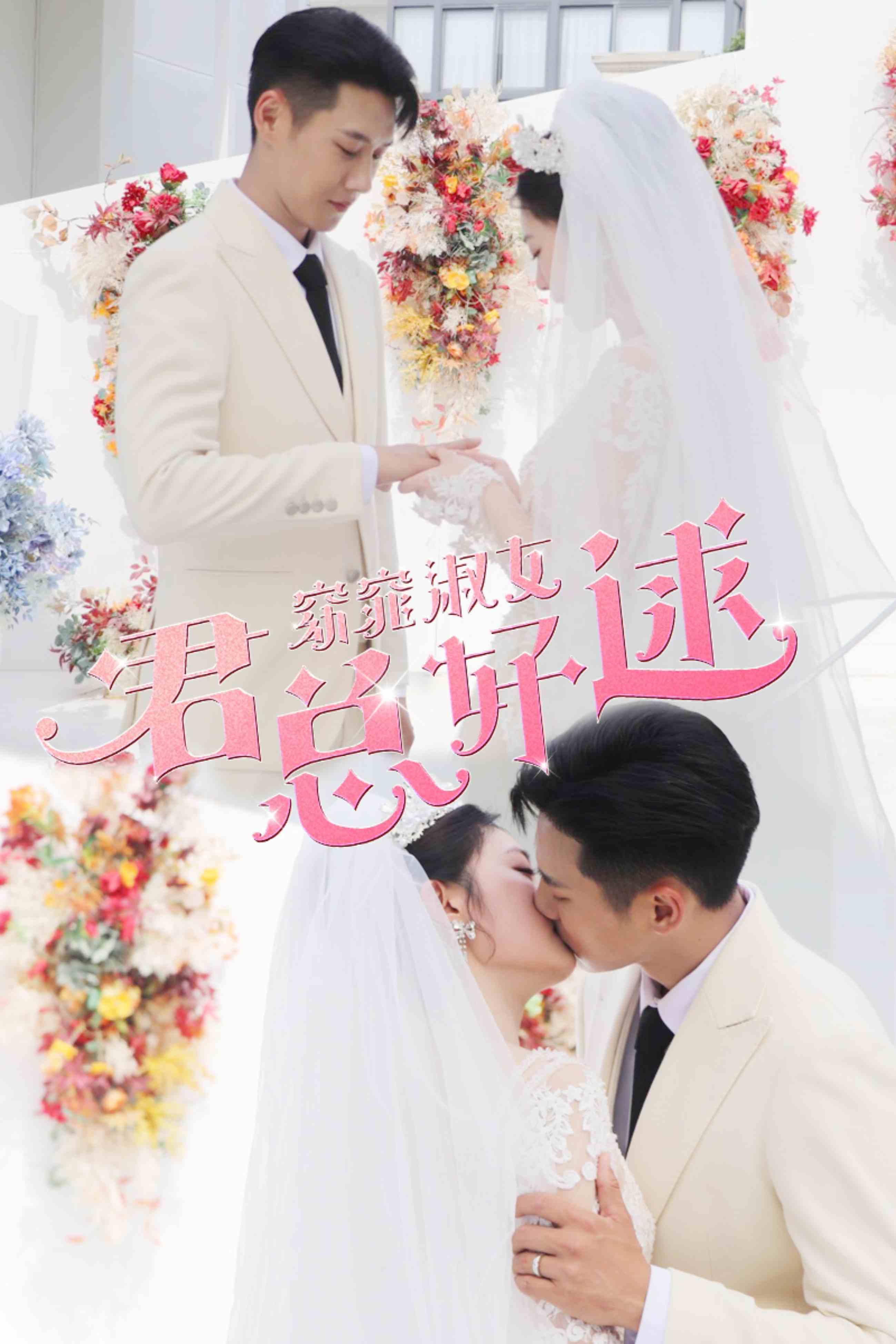窈窕淑女君总好逑海报图片