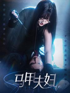 马甲夫妇海报图片
