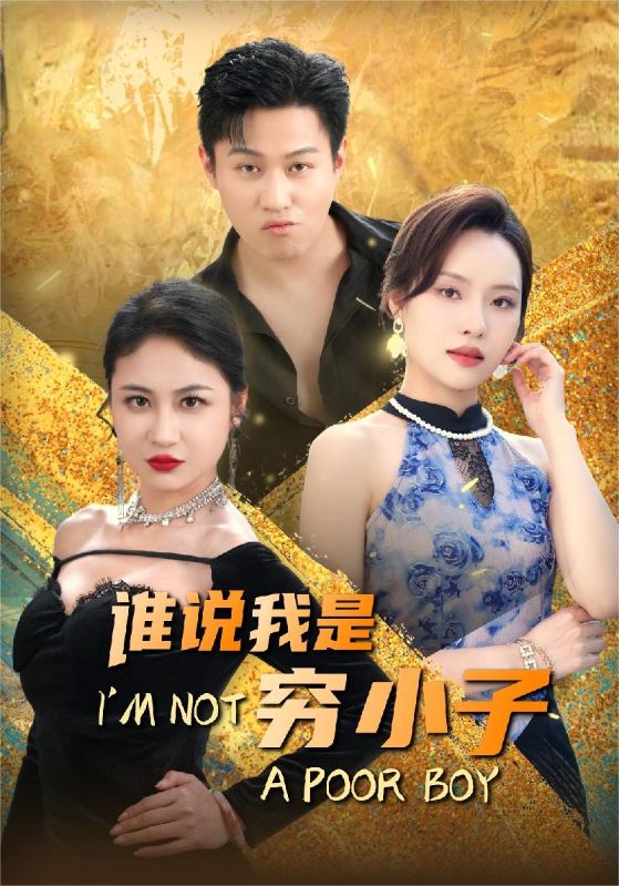 谁说我是穷小子海报图片