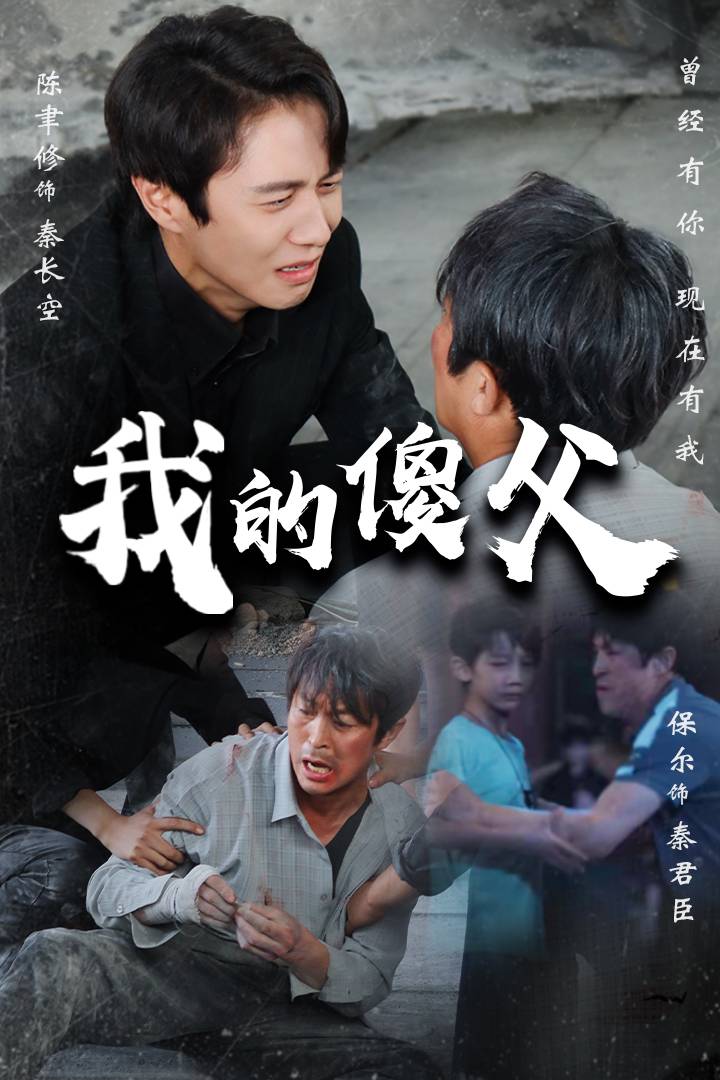 我的傻父海报图片