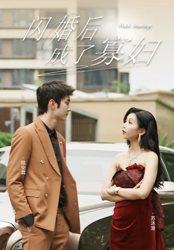 闪婚后成了寡妇海报图片