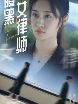 腹黑女律师海报图片