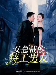 女总裁的特工男友海报图片
