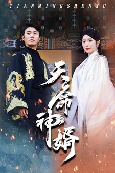 天命神婿海报图片
