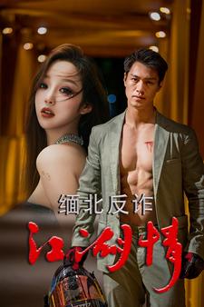 缅北反诈江湖情海报图片