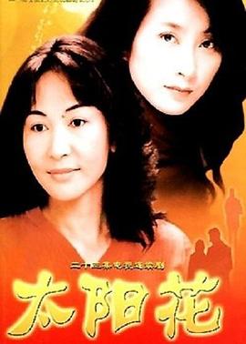 太阳花2002海报图片